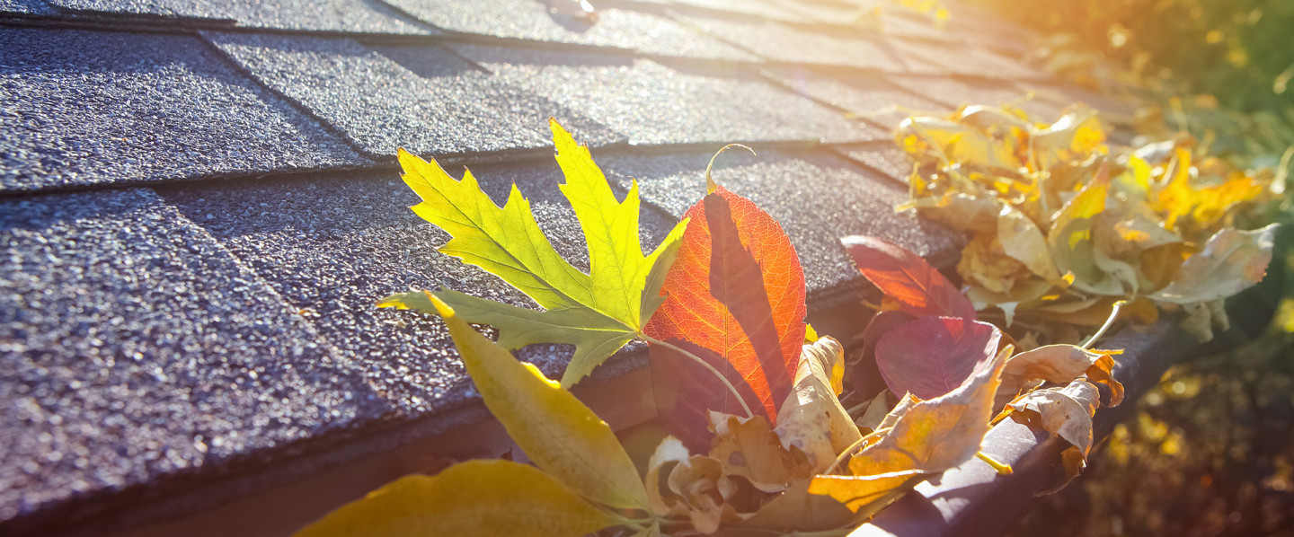 Gutter Cleaning, Repair & Installation Kalamazoo, Vicksburg, MI